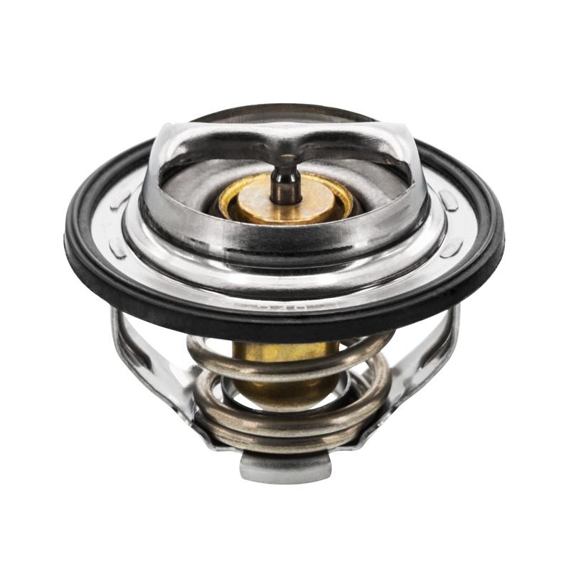 Ecotec Thermostat