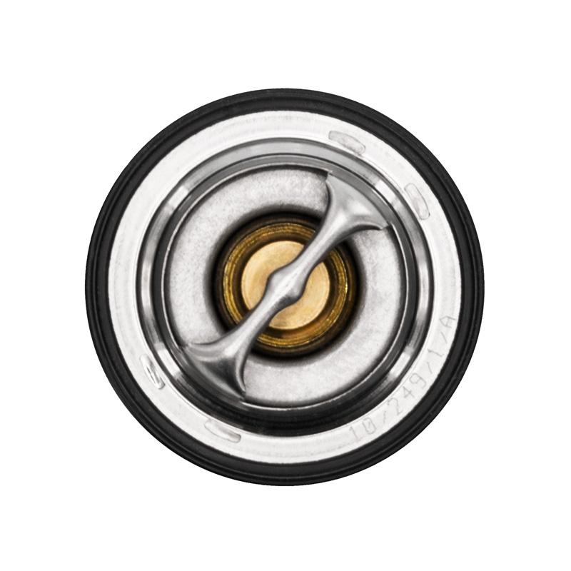 Ecotec Thermostat