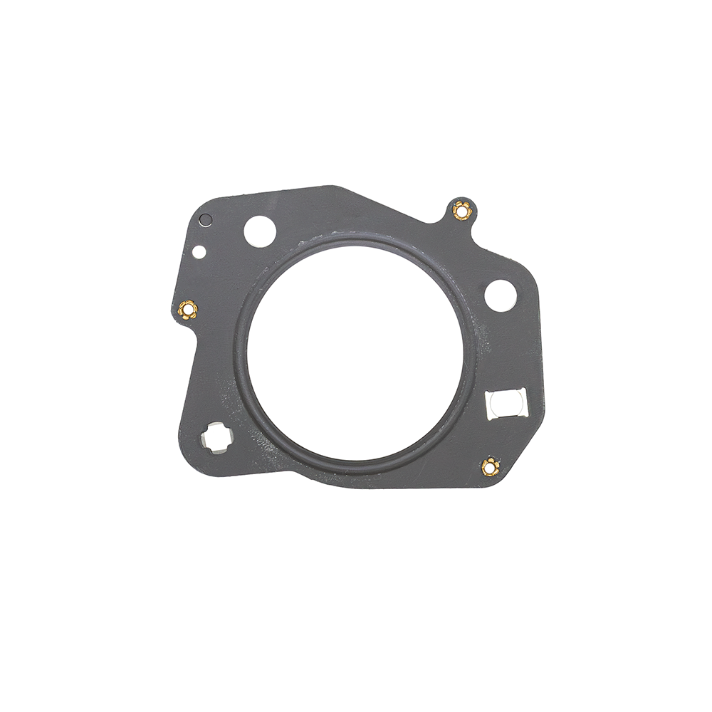ZZP LNF Turbo Gasket