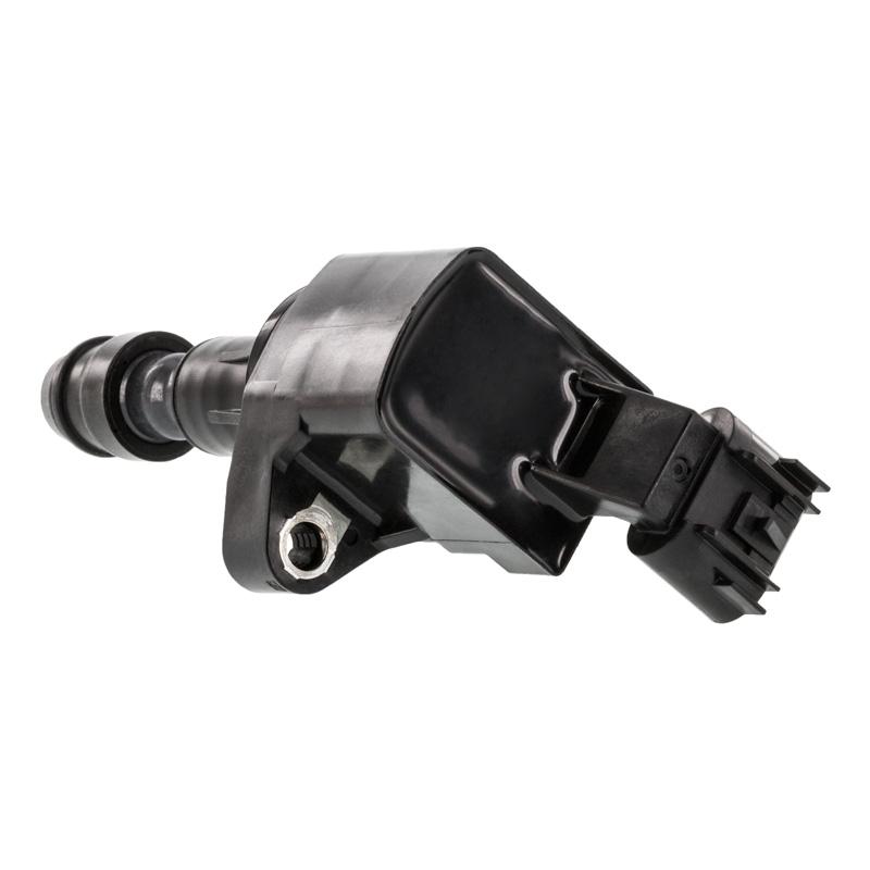 Ecotec Coil Pack