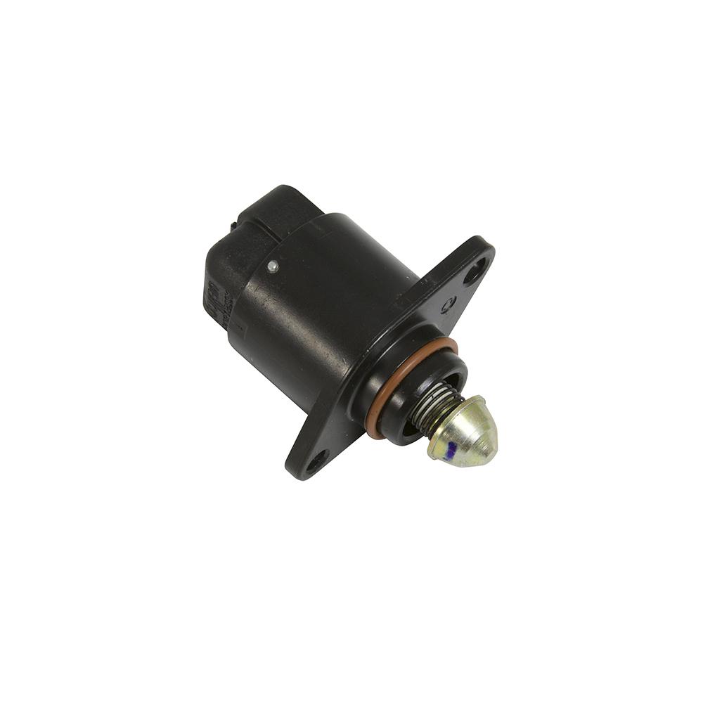 IAC Sensor